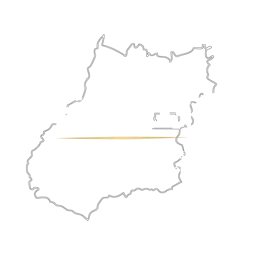 Logo FEMEGO — Federação Mutualista do Estado de Goiás